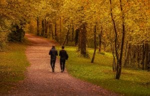Pictureof men walking in woodland