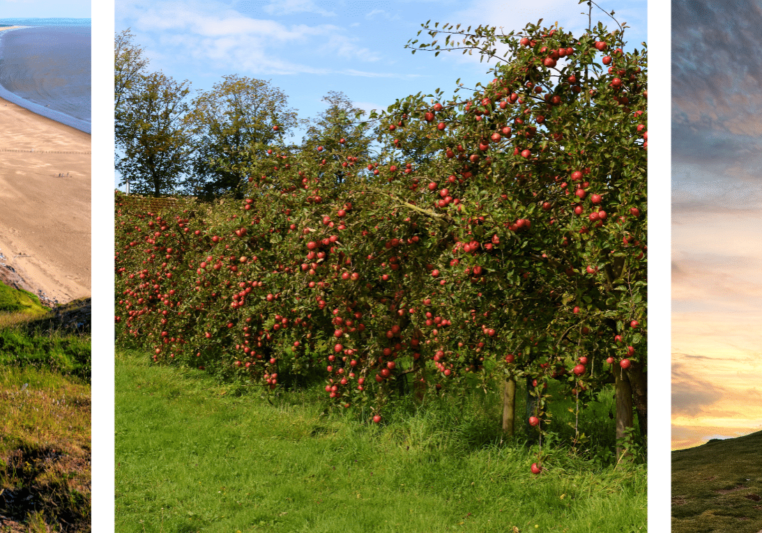 Photos of the Somerset countryside