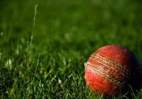 Cricket ball on grass