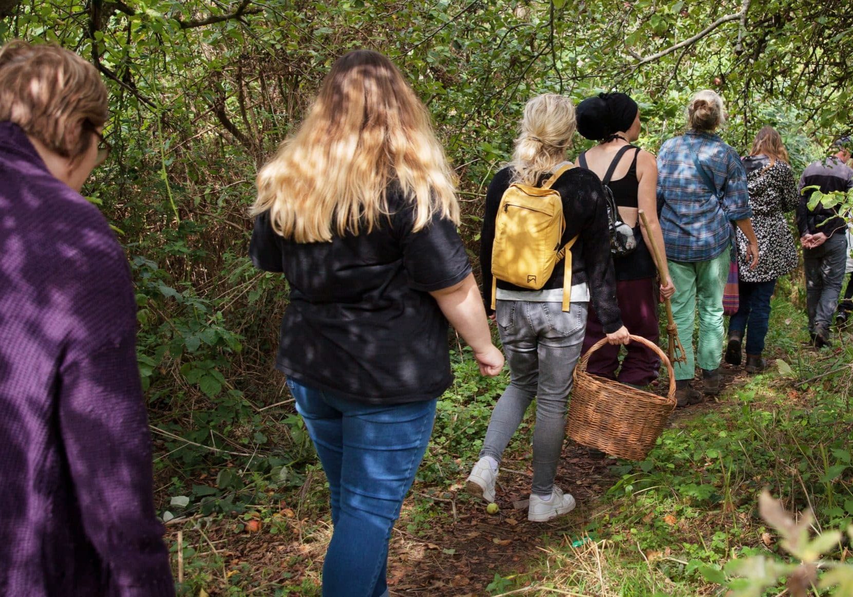 Community Rehabilitation forest walk